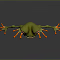 Frog Poison Frog Game Frog Reptile Cold Blooded Animal Reptile 3d model
