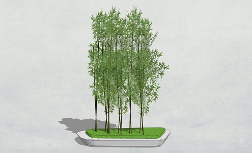 Modern Bamboo Tree Pool 3d model