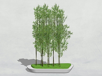 Modern Bamboo Tree Pool 3d model