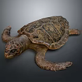 Sea Turtle With Detailed Shell Texture And Extended Limbs On Gray Background 3d model