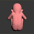Detailed Pink Human Fetus Model in Crouched Position 3D Medical Rendering