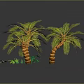Tropical Palm Trees With Green Foliage And Small Plants On Dark Reflective Surface