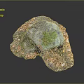 Natural Stone Wood Decorative Piece With Green Moss And Brown Bark