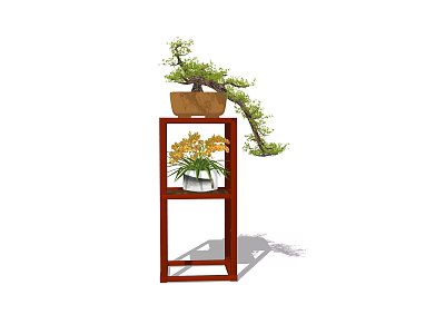 Bonsai Potted Plant on Two Tiered Red Wooden Stand with Curved Branches and Yellow Flowers 3d model