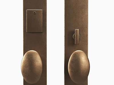 Vintage Brass Door Handles With Rectangular Panel And Lock Mechanism 3d model