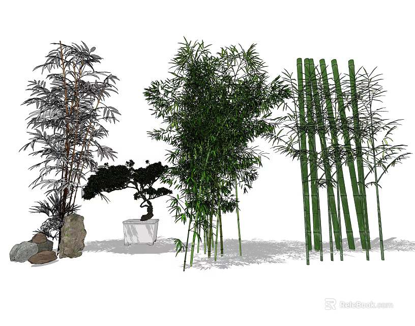 Various Types of Bamboo Plants Including Tall Clumping and Potted Varieties 3d model 