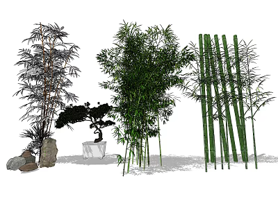 Various Types of Bamboo Plants Including Tall Clumping and Potted Varieties 3d model