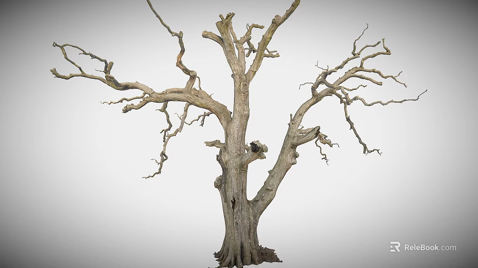 Rough Wooden Stone Dry Tree Trunk With Leafless Branches And Natural Texture 3d model 