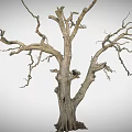 Rough Wooden Stone Dry Tree Trunk With Leafless Branches And Natural Texture 3d model