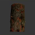Red and Green Moss Covered Tree Stump with Cracked Surface and Small Protrusions