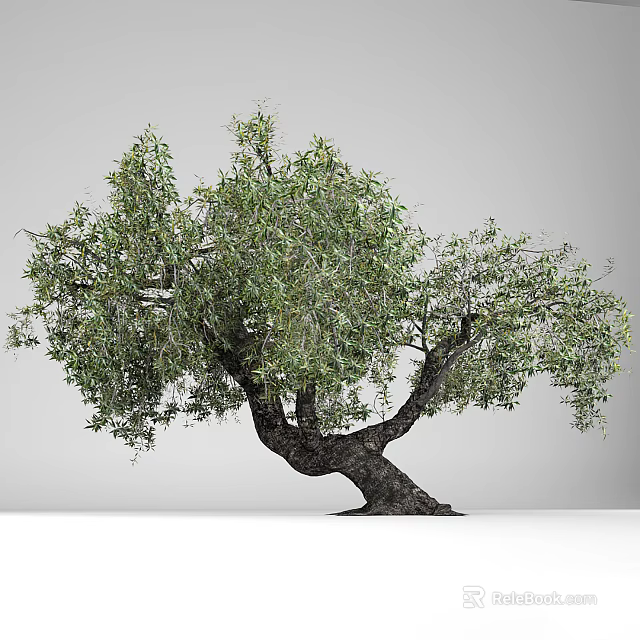 Lush Green Leafy Tree With Twisted Trunk And Natural Growth Shape 3d model 
