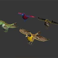 Colorful Birds with Various Colors and Wing Positions on White Background