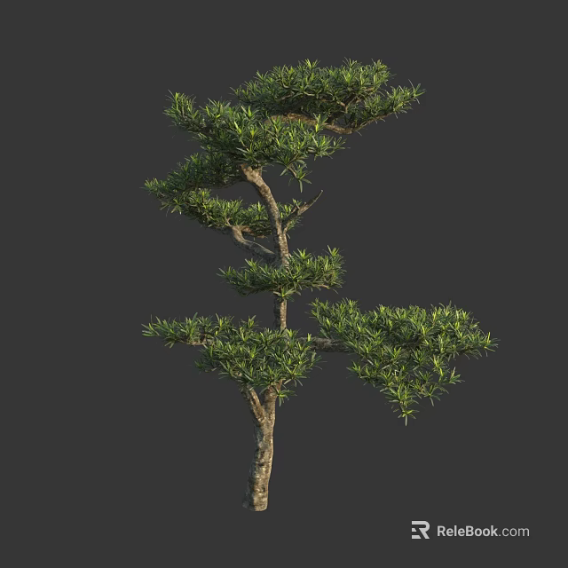 Tall Arbor With Lush Green Foliage And Graceful Branch Structure In Natural Setting 3d model 