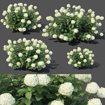 Flowers 3d model Flowers 3d model