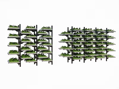 Vegetable planting rack planting box crops fruits and vegetables 3d model