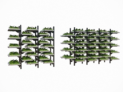 Vegetable planting rack planting box crops fruits and vegetables 3d model