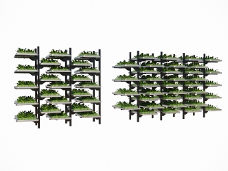 Vegetable planting rack planting box crops fruits and vegetables 3d model