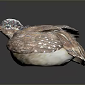 Ceramic Quail Sculpture With Brown And White Feathers Detailed Patterns And Reflection On Smooth Surface 3d model