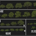Different Types of Arbor Trees Including Hawthorn Persimmon Pomegranate Peach and Fig Trees
