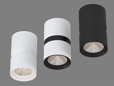 Modern White And Black Downlights With Sleek Design For Indoor Lighting 3d model