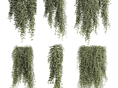 Hanging Green Vines for Indoor Decorative Wall and Ceiling Design 3d model