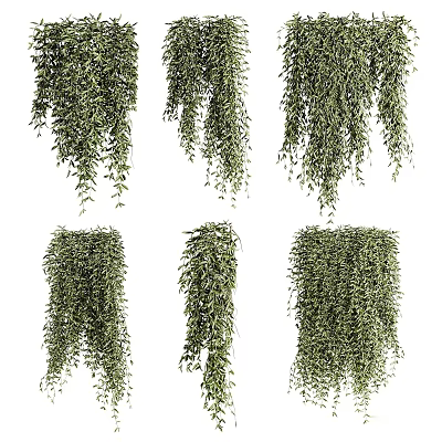 Hanging Green Vines for Indoor Decorative Wall and Ceiling Design 3d model