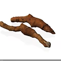 Fresh Brown Rhizome Plants With Textured Surface On White Background