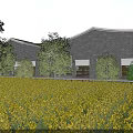 Garden Landscape With Yellow Flower Field Modern Building And Green Trees Under Blue Sky