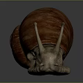Snail With Brown Spiral Shell And Light Brown Body On Dark Background 3d model