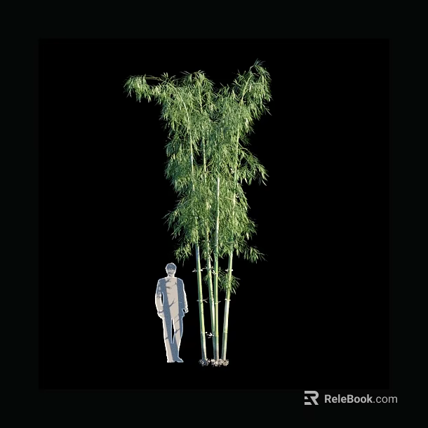Tall Bamboo Plants With Lush Green Leaves Next To Human Silhouette On Black Background 3d model 