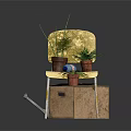 Yellow Velvet Chair Placed On Old Cardboard Box With Multiple Potted Plants