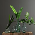 Transparent Glass Vases with Green Leaves Placed on Wooden Table Surface
