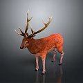 Realistic Red Deer 3D Model With Large Antlers Standing On Dark Background 3d model