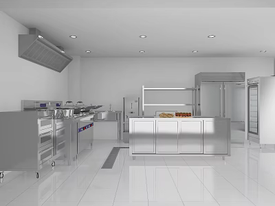Modern Commercial Kitchen Interior With Stainless Steel Appliances Countertops And Cabinets 3d model