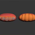 Several Orange and Blue Medical Devices with Ergonomic Design for Clinical Applications