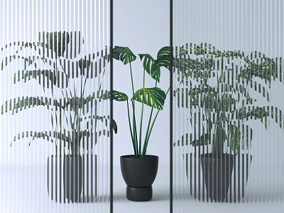 Transparent Vertical Stripe Partition With Green Plants In Black Pots For Modern Interior Design 3d model