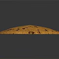Golden Round Cookie with Dark Brown Chocolate Chips on Gray Background