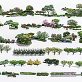 Various Arbor Tree Species For Landscape Design And Garden Greenery