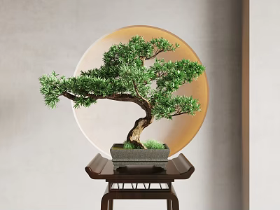Bonsai Tree on Dark Table with Circular Decorative Element and Light Background Wall 3d model