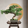 Bonsai Tree on Dark Table with Circular Decorative Element and Light Background Wall 3d model