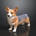 Corgi With Large Ears Short Legs Gray White Brown Coat Standing On Black Reflective Surface