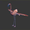 Graceful Red Flamingo Standing With Spread Wings Against Black Background