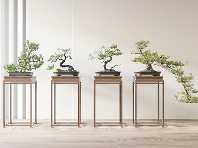 Multiple Bonsai Plants On Modern Stands In Indoor Setting With Light Walls And Wooden Floor 3d model