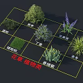 Various Flower And Plant Species Display With Different Greenery Types In Grid Layout 3d model