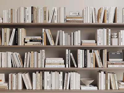 Books And Magazines Of Various Sizes Neatly Arranged On Wooden Bookshelf 3d model