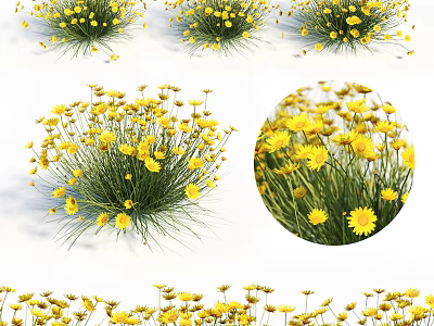 Blooming Yellow Flowers With Green Stems In Natural Garden Cluster 3d model