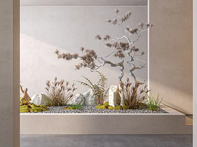 Minimalist Indoor Landscape Interior Design With White Wall Decorative Tree Stones Grasses And Gravel Ground 3d model