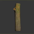 Natural Tree Trunk Plant Decor With Brown Yellow Texture And Round Hole Design