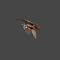 Colorful Moth With Detailed Eyes And Patterned Wings In Flight