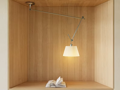 Modern Pendant Light Hanging Over Wooden Display Shelf With Open Book And Warm Lighting 3d model